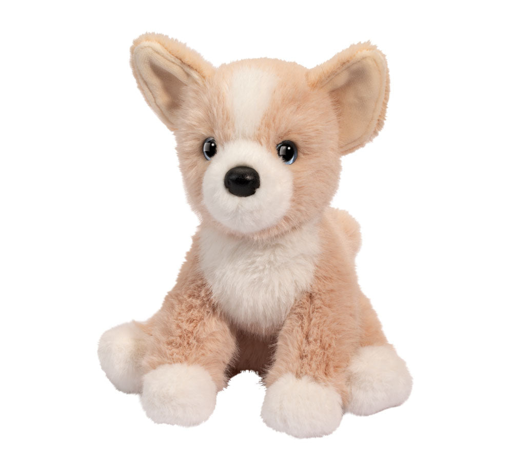 Pookie Pomsky Mini