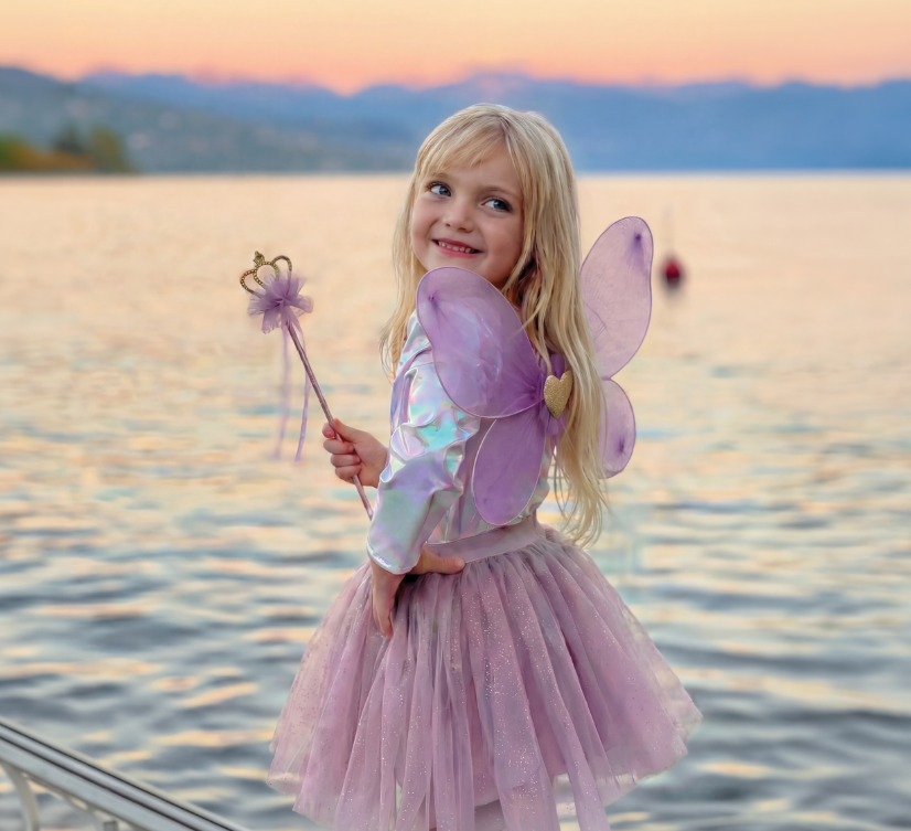 Royal Fairy Princess Skirt Set Size 4-6