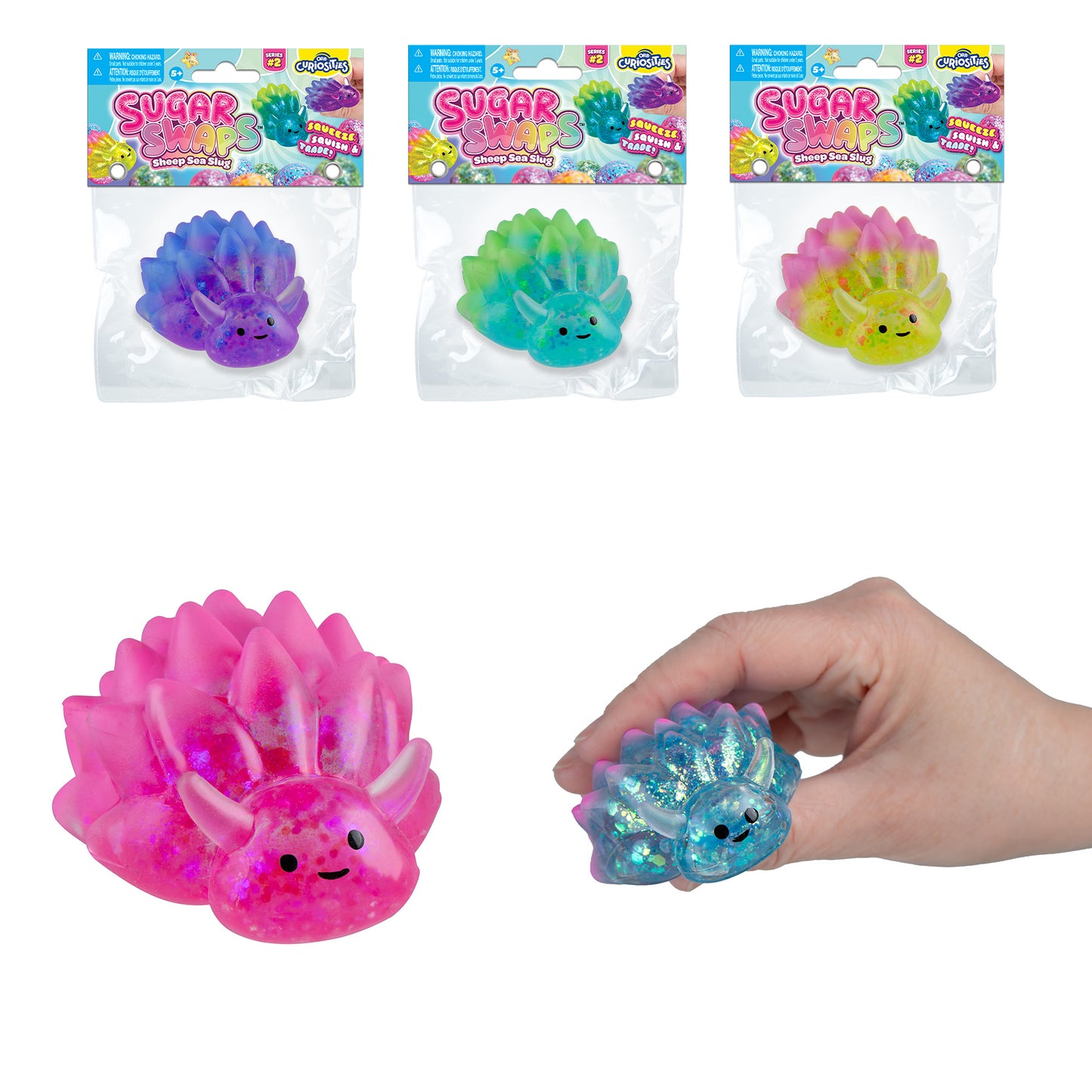 Sugar Swaps Sea Slugs