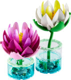 Water Lilies 11511