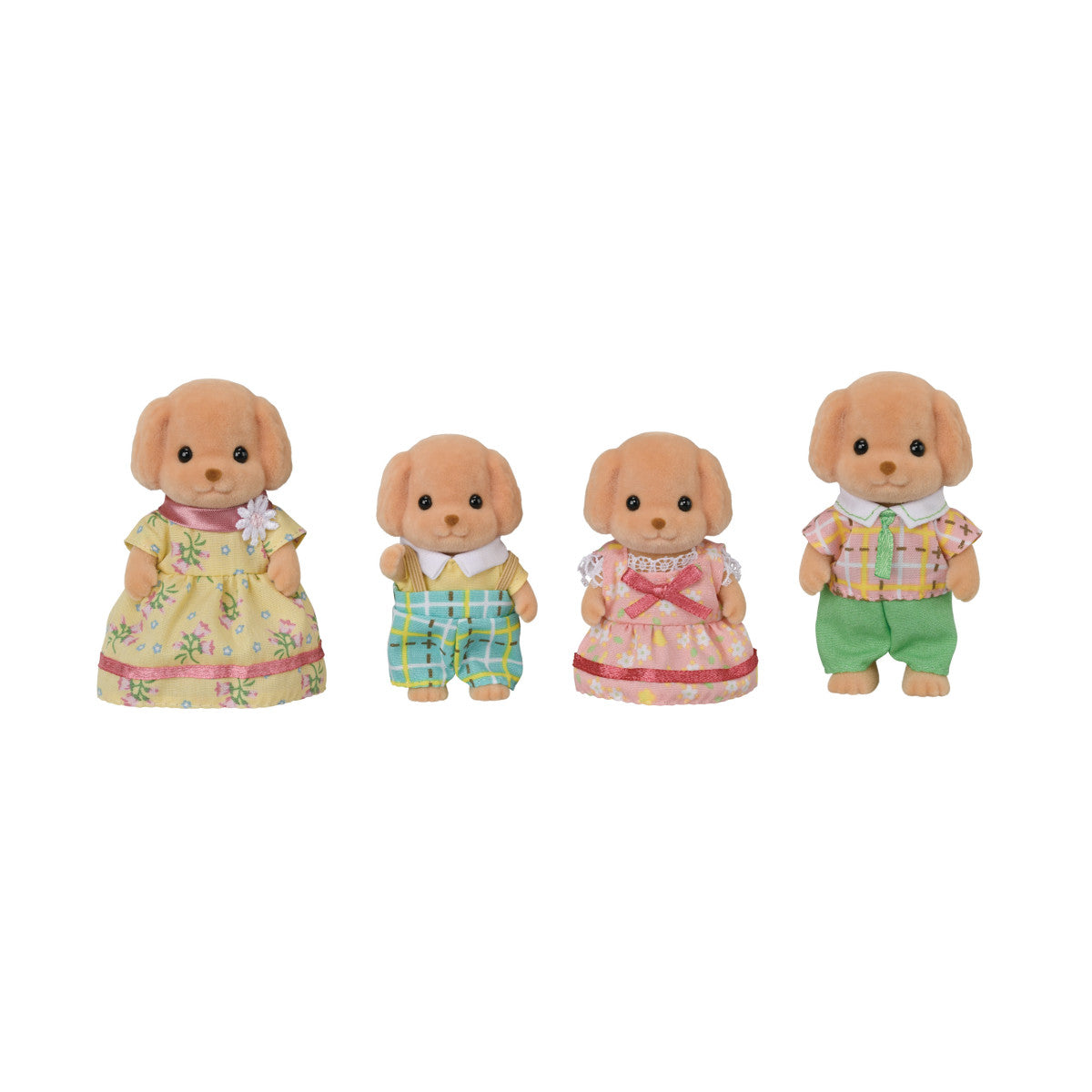 CC Toy Poodle Family