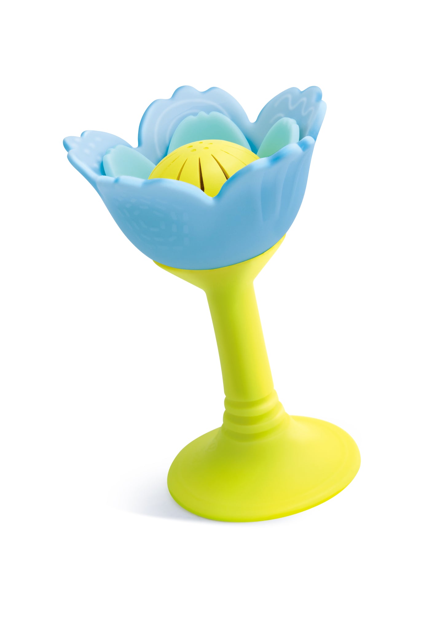 Blue Rattle and Teether Flower