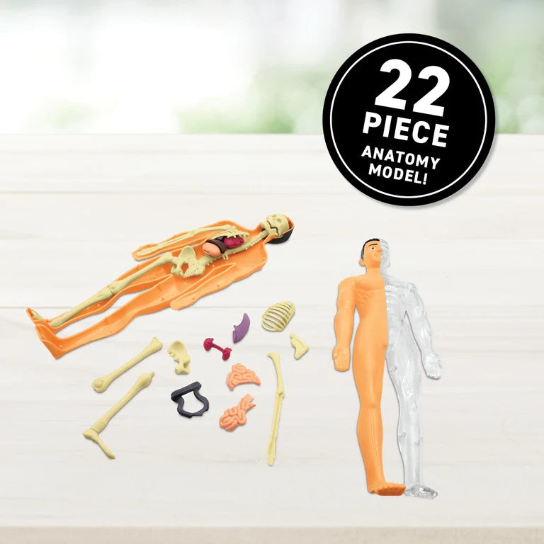 Virtual Reality Humanbody