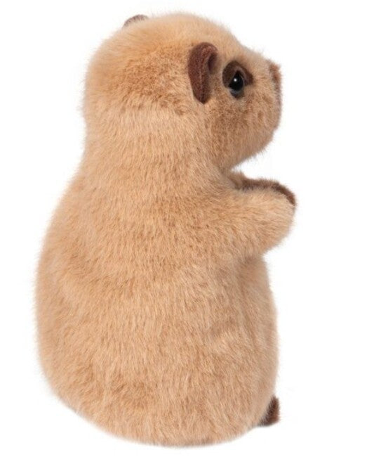 Chattie Capybara Minisoft