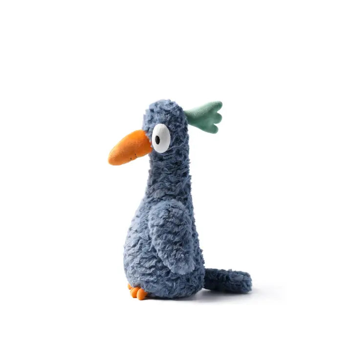 Big Eyed Bird