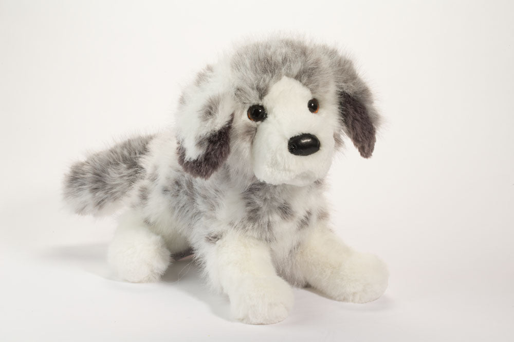 Skyler Aussie