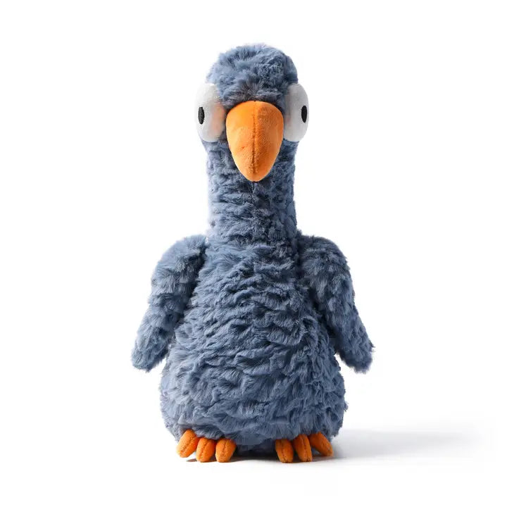 Big Eyed Bird