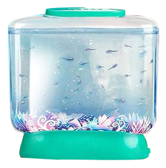 World's Smallest Aqua Dragons