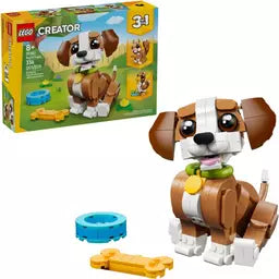 Playful Puppy