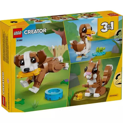 Playful Puppy
