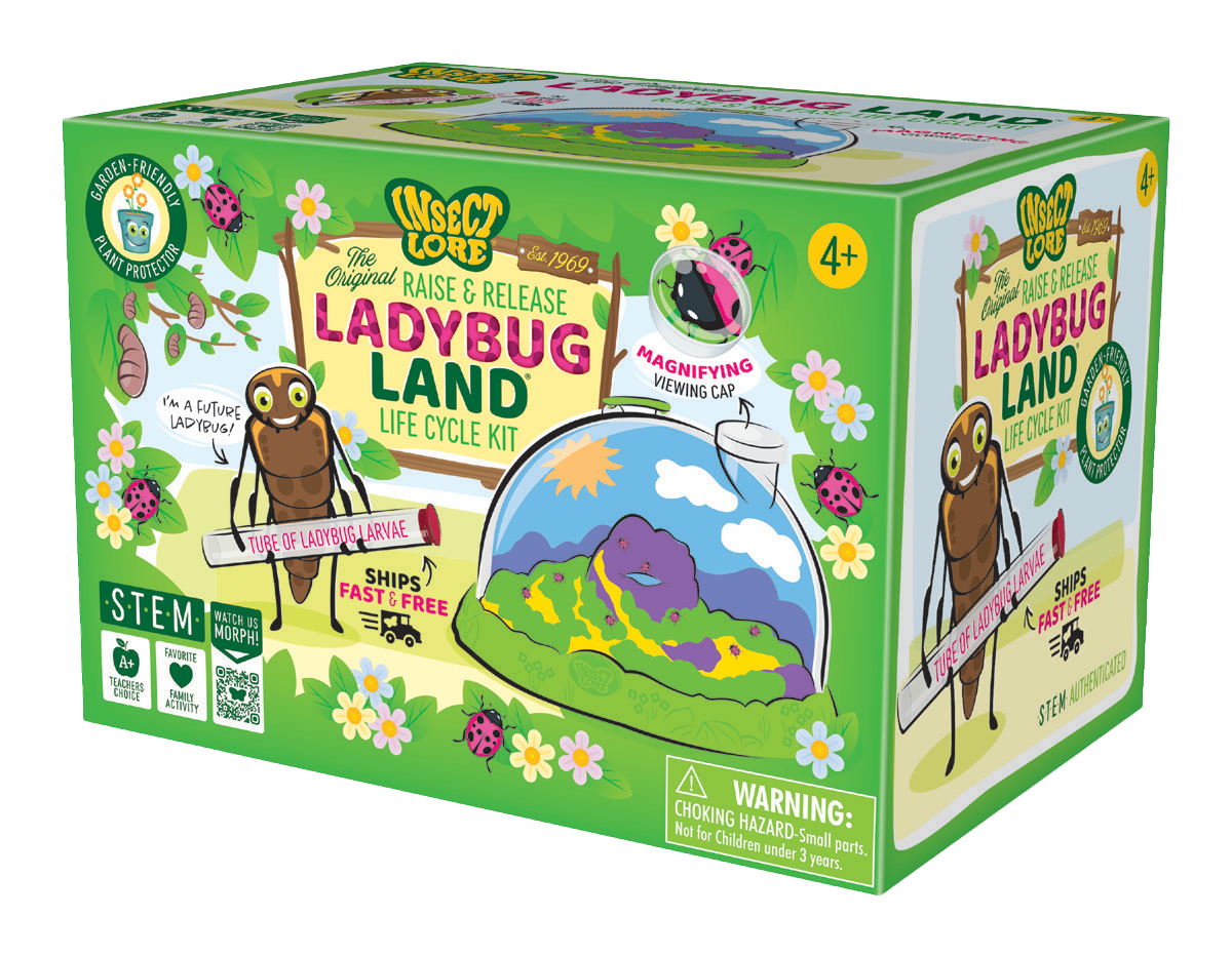 Ladybug Land