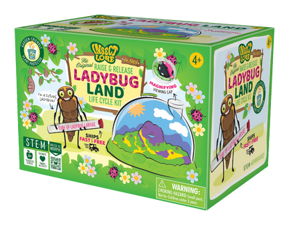 Ladybug Land