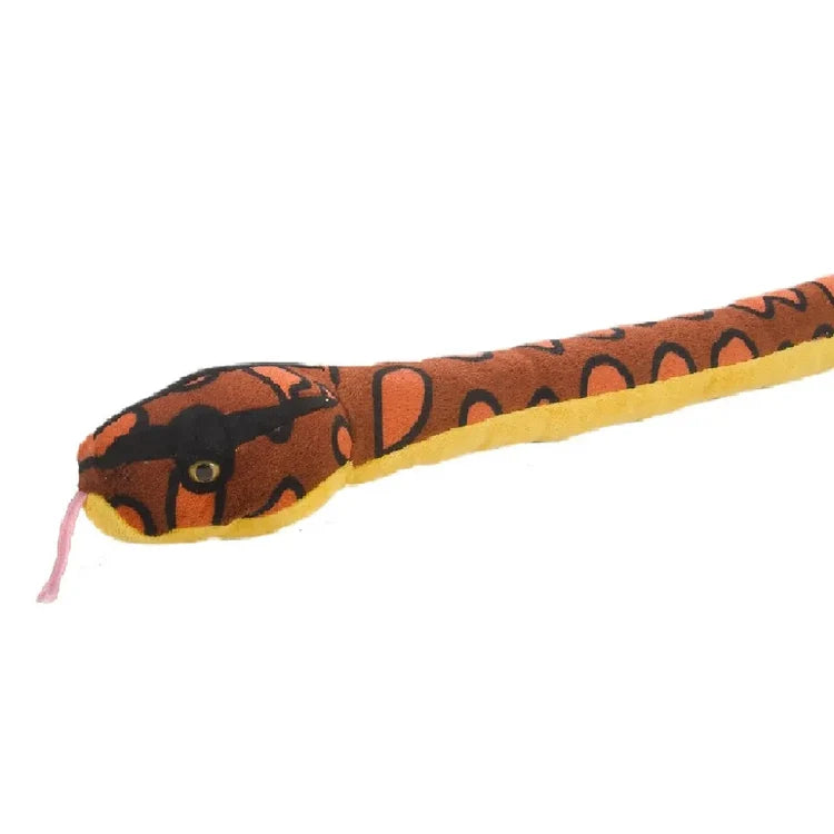 Snake Rainbow Boa
