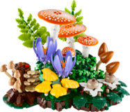Woodland Mushrooms