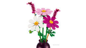 Cosmos Flowers 11514