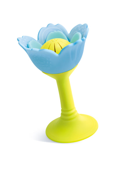 Blue Rattle and Teether Flower