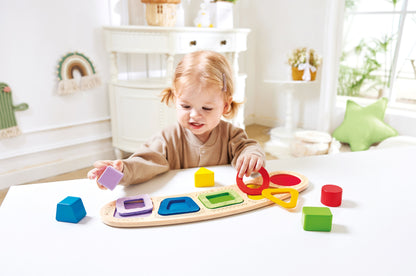Colour & Shape Sorting Puzzle
