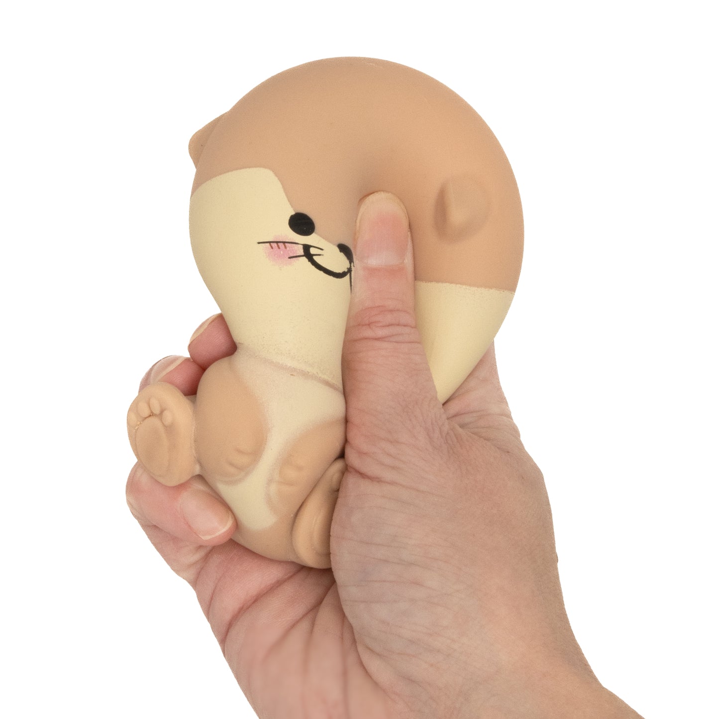 Kawaii Squishies