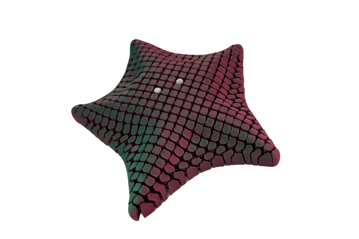 Floppy Starfish Fidget