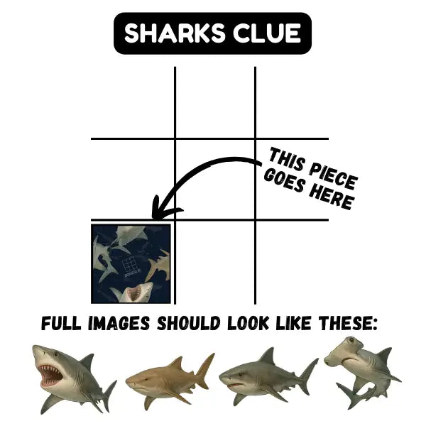 Sharks Squzzle