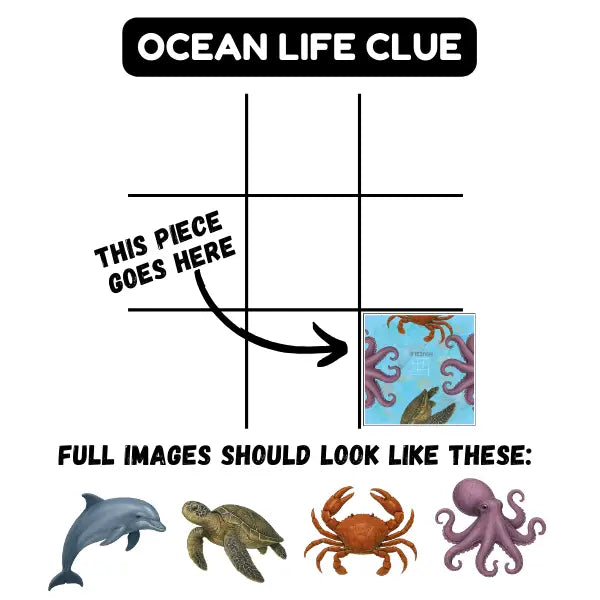 Ocean Life Squzzle