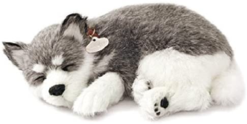 Alaskan Husky Plush