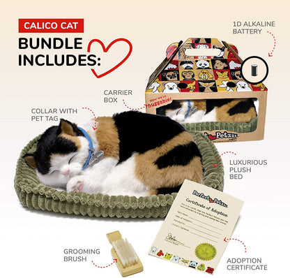 Calico