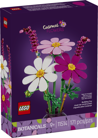 Cosmos Flowers 11514