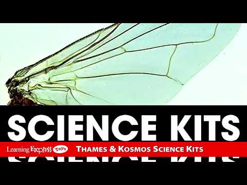 Stepping Into Science