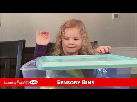 Sensory Bin Race Track