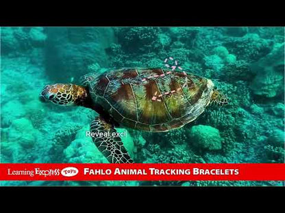 Fahlo Wander Green