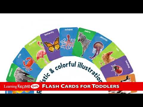 First 100 Animals Flash Cards