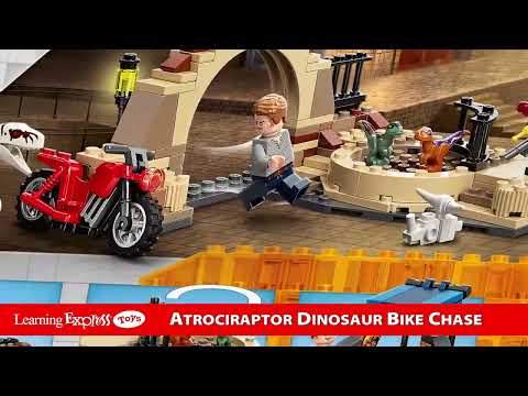 Atrociraptor Dinosaur