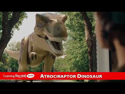 Atrociraptor Dinosaur