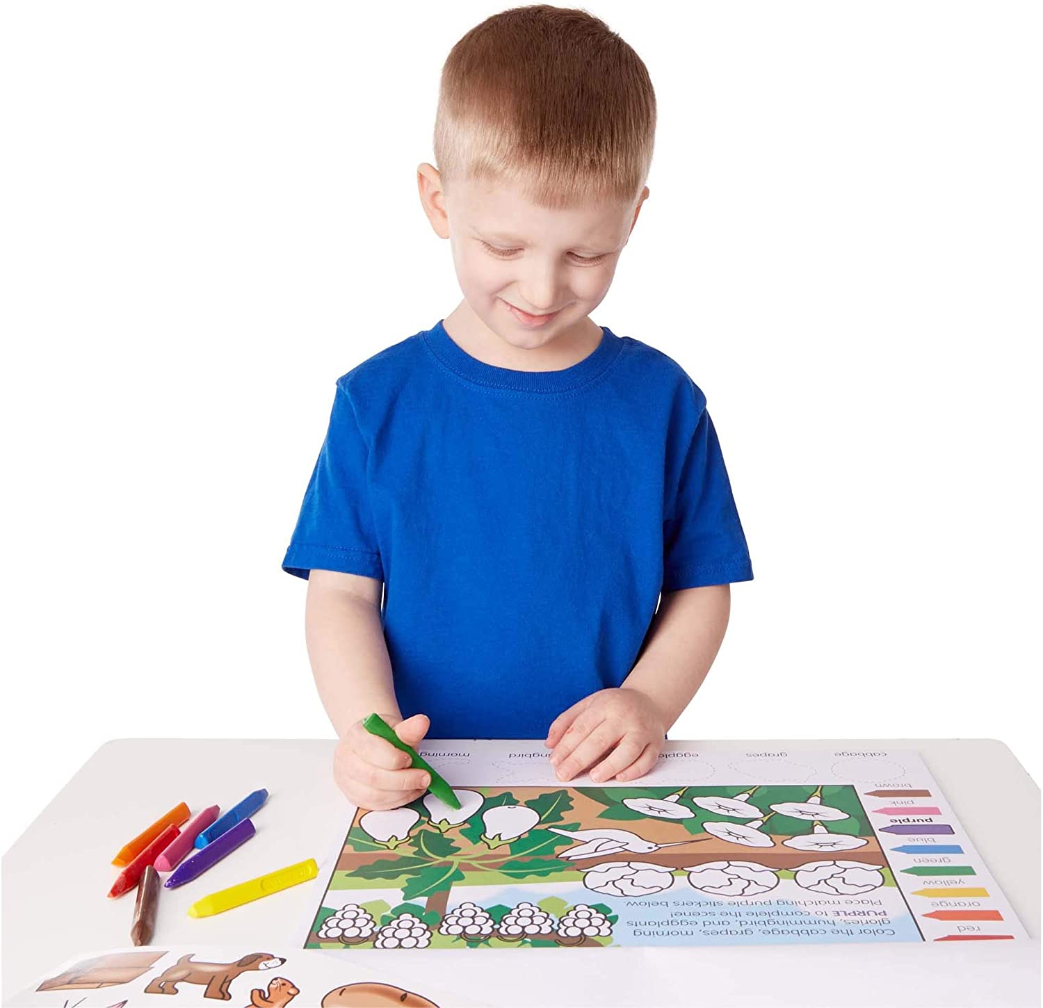 Colors Shapes Activity Pa