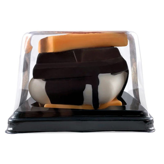 Squishi Smores