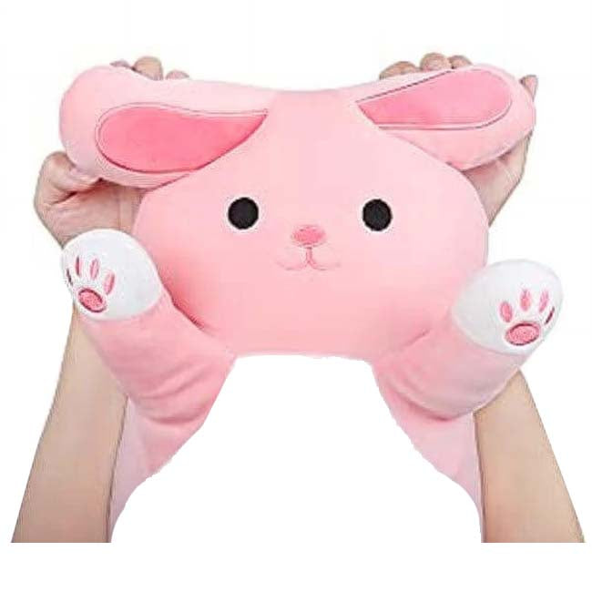 Long Plush Pink Bunny