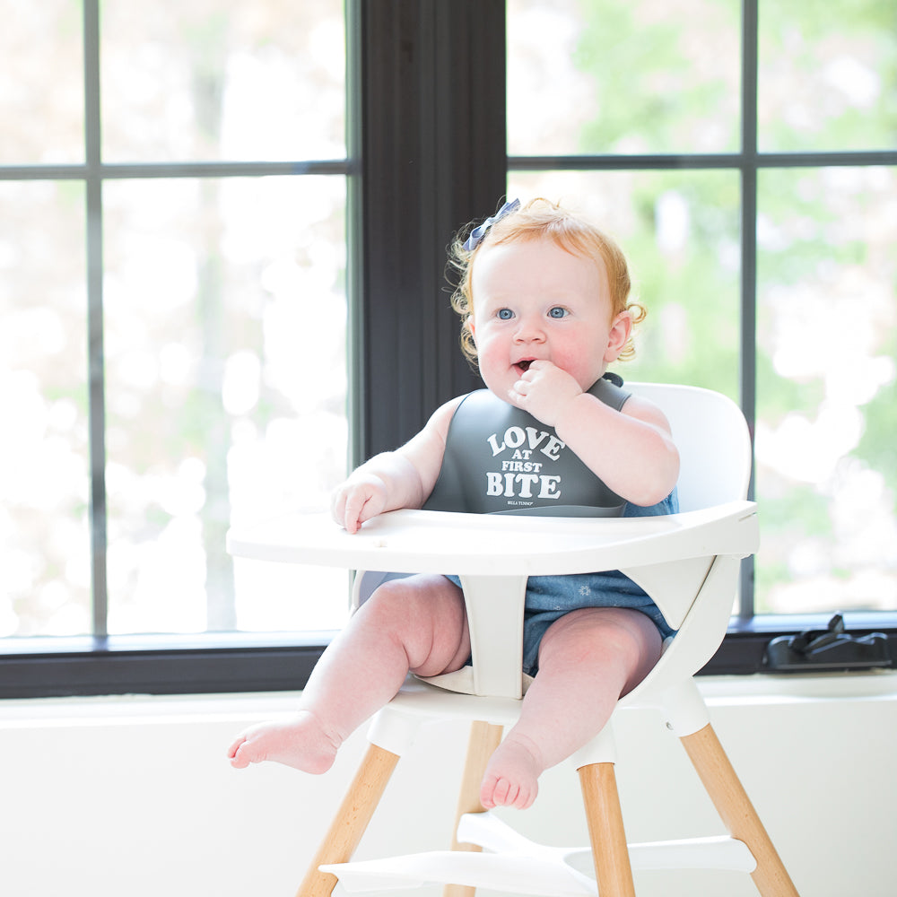 Love at First Bite Bib