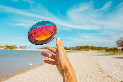 Waboba Wingman Disc