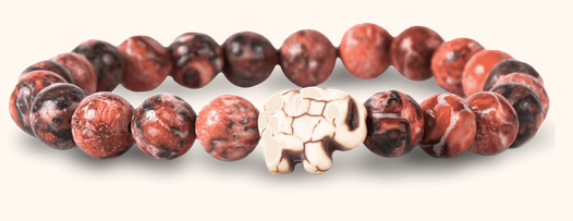 Expedition Bracelet Deser