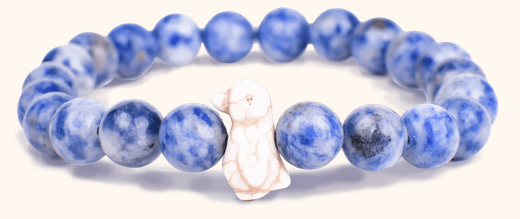 Pass Bracelet Igloo